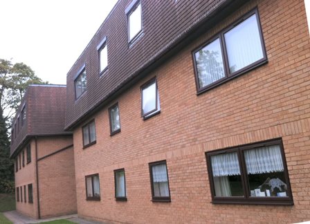 Rosewood windows in flats